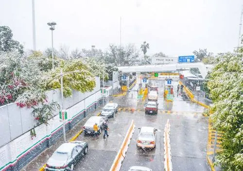 Fotos: Bellas postales de las nevadas de hoy en Chihuahua y Coahuila