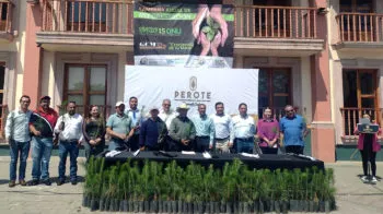 Dona Granjas Carroll 9 mil plantas para reforestación en Perote