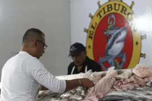 Hasta en 35 por ciento suben ventas de pescados en Semana Santa