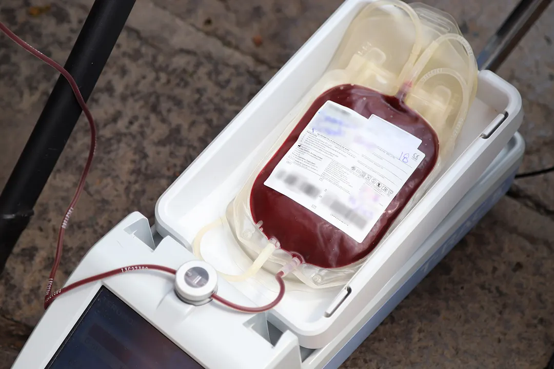 Donacion De Sangre