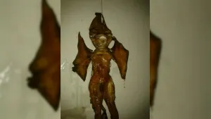 Hallan supuesto alienigena en Puebla; lo ofrecen por 20 mil pesos