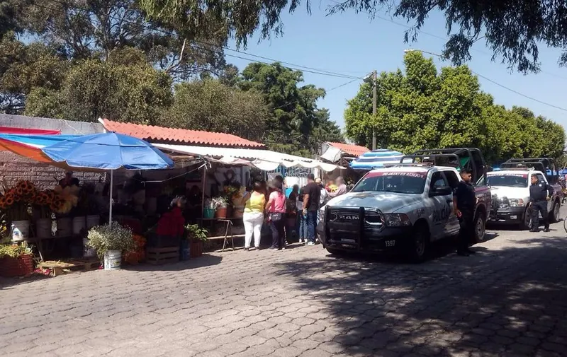 Imagen 2
