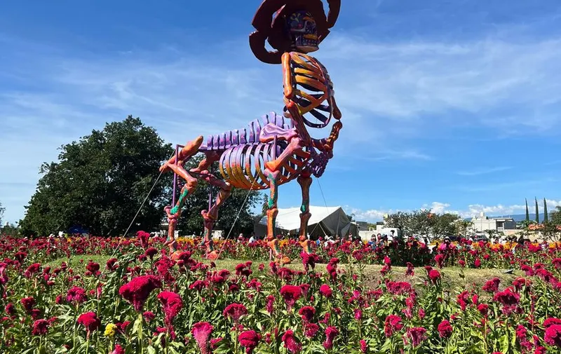 valle-de-catrinas-atlixco-pancho-villa