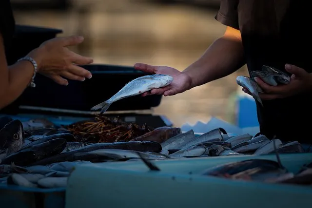 Académica Ibero Puebla te explica cómo elegir pescados y mariscos en esta Cuaresma