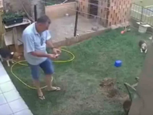 Hay talento… Hombre explota su jardín para eliminar plaga de cucarachas
