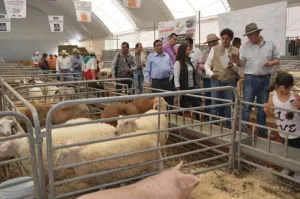 Realiza San Pedro Expo Agroalimentaria 2014