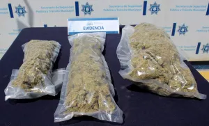 Asegura policía municipal paquete con marihuana