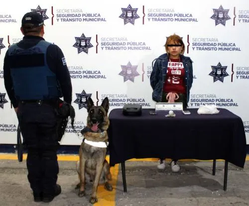 Aseguró SSPTM de Puebla poco más de medio kilogramo de posible cristal; hay una mujer detenida