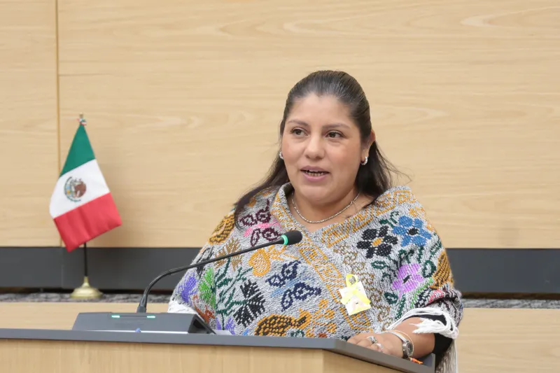 Elisa Limón Balderrábano, diputada local de Puebla por Morena. Foto: Especial