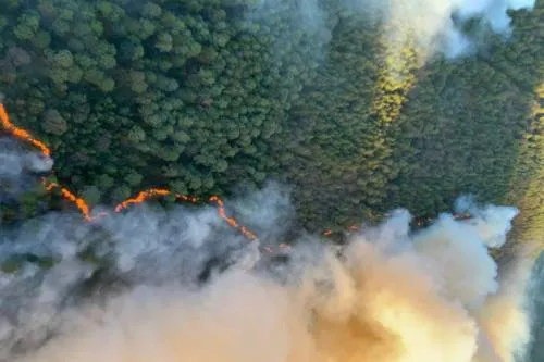 Incendio forestal en Veracruz, controlado en un 85 por ciento