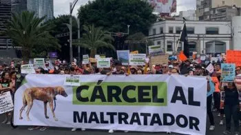Animal Heroes exige a legisladores aprobar iniciativas durante marcha por los animales