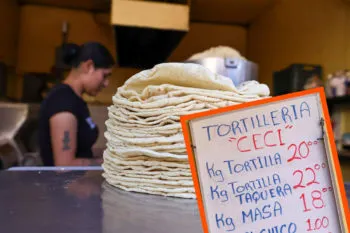 No hay razón para que aumente el precio de la tortilla ni de la canasta básica: Sheinbaum
