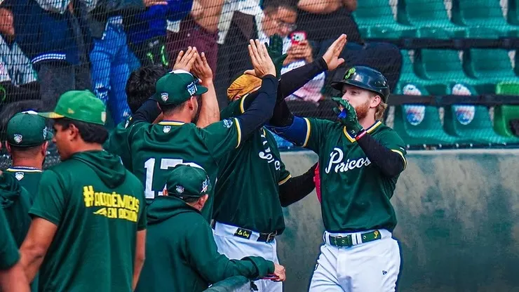 Pericos de Puebla
