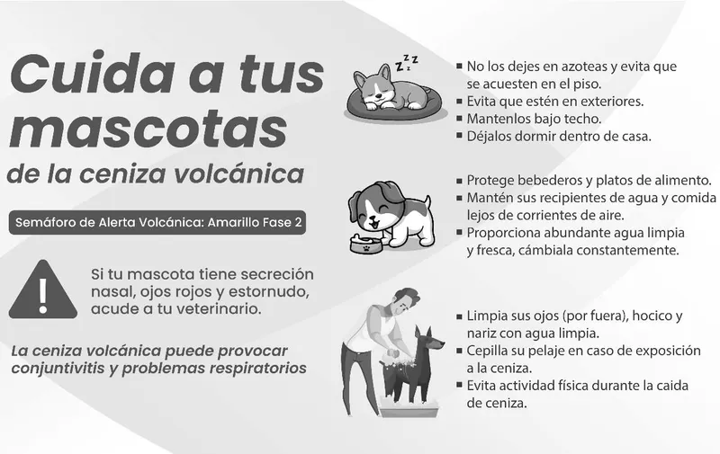 ceniza-volcanica-mascotas-atlixco