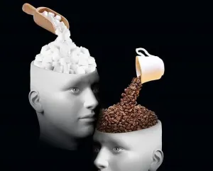 Resulta que el sabor está en el cerebro
