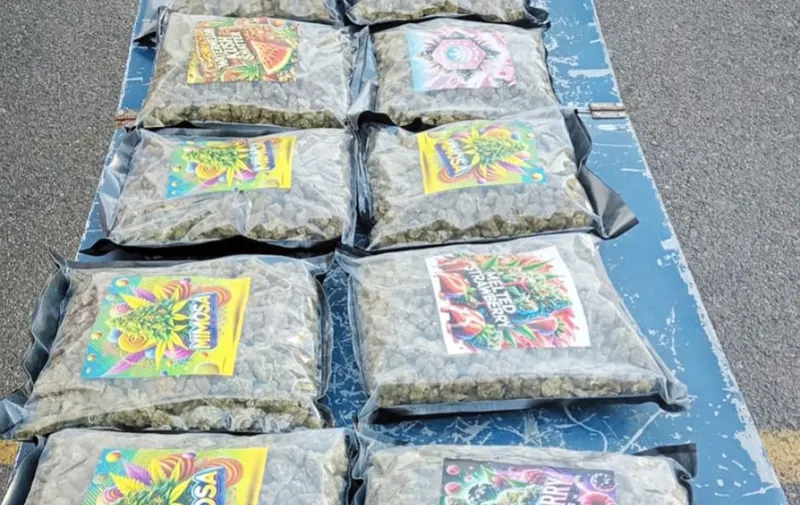 detenidos-delitos-contra-la-salud-coronango-evidencia