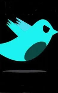 Por incitar a matar vía Twitter mujer brasileña va a prisión