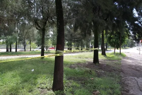 350 árboles serán retirados del Bulevar del Niños Poblano con la construcción de Distribuidor Vial