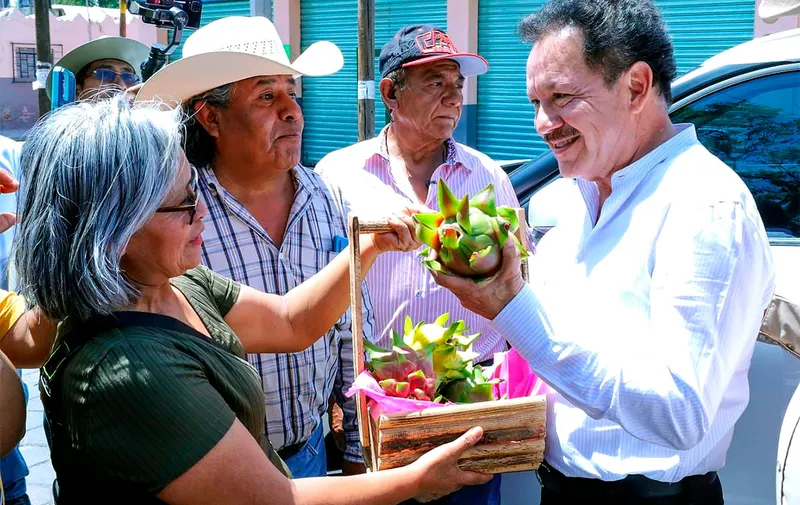 ignacio-mier-velazco-tlacotepec