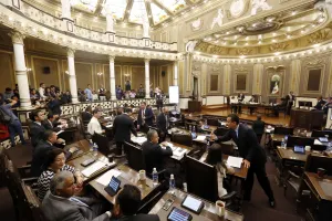 Apertura del Congreso para revisar Ley Bala, no significa derogación