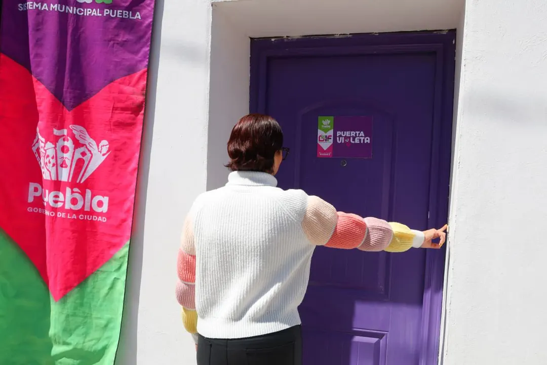 Ayto Pue Smdif Puerta Violeta