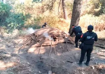SSP elimina seis hornos clandestinos para procesar madera en San Nicolás de los Ranchos