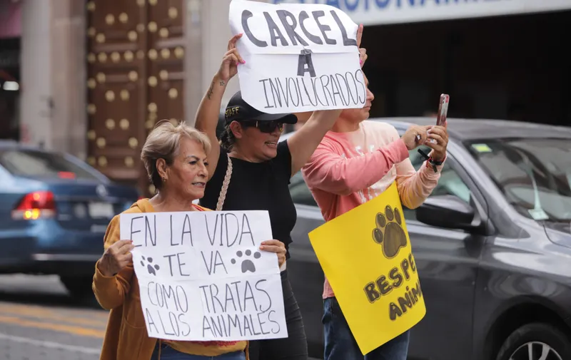 Animalistas