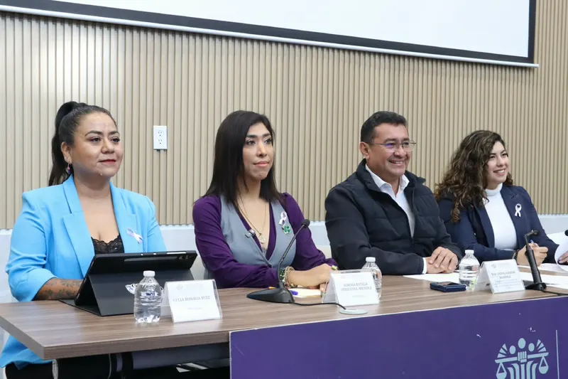 Diputada Celia Bonaga subraya aprobación de acuerdos en materia de salud, inclusión y bienestar social
