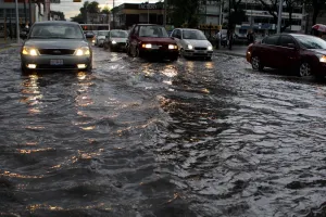Lluvia deja encharcamientos y rama caída en la capital