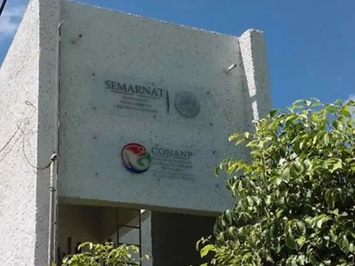 Cierran oficina de Áreas Naturales Protegidas en Cancún; no tienen para la renta
