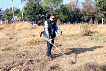A la semana se reciben 2 quejas por invasión de espacios públicos: Felipe Velázquez