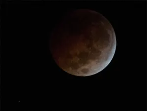 El cielo se oscurecerá este viernes con el primer eclipse del año