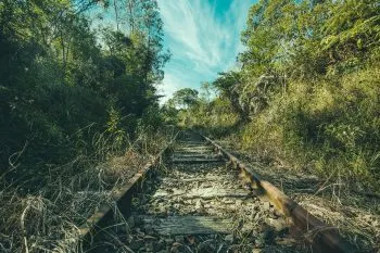 Suman 25 amparos en contra del Tren Maya, informa Fonatur
