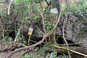 AMLO no se reunirá con ambientalistas y artistas en el Tramo 5 del Tren Maya