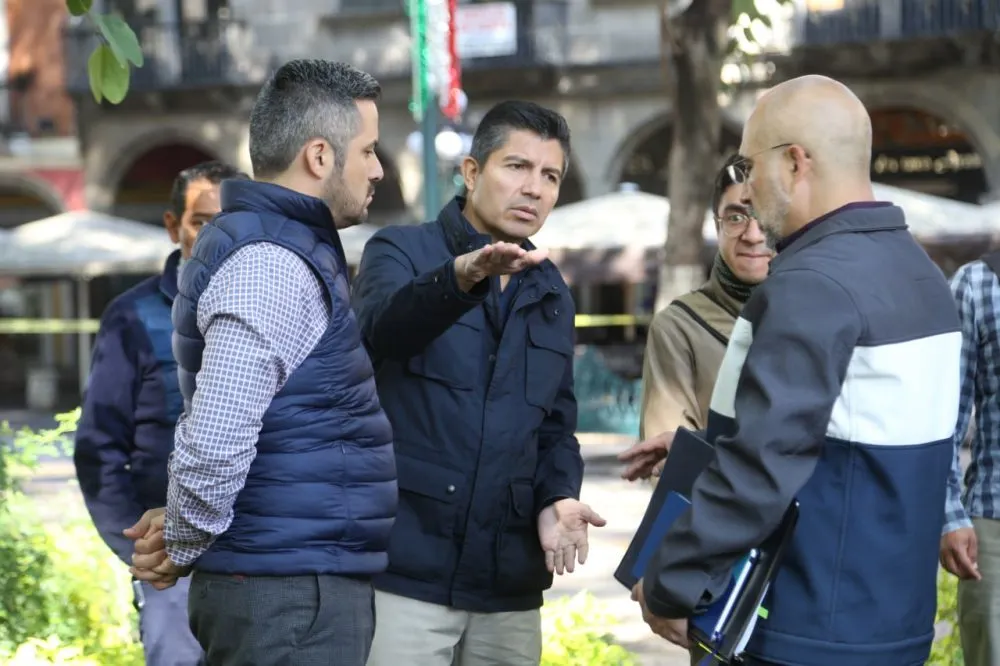 Ayuntamiento revisa el estado de los árboles