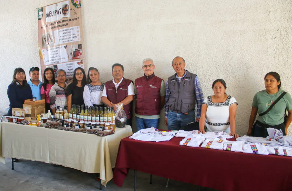 Fortalecimiento de las Economías de los Pueblos Indígenas y Afromexicanos
