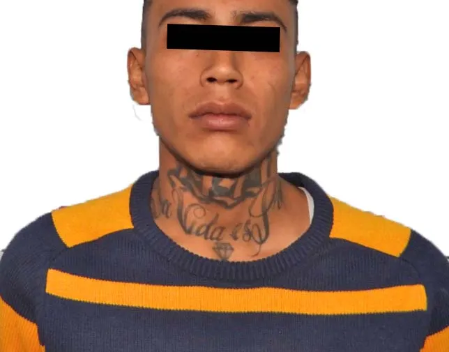 Imagen del artículo
