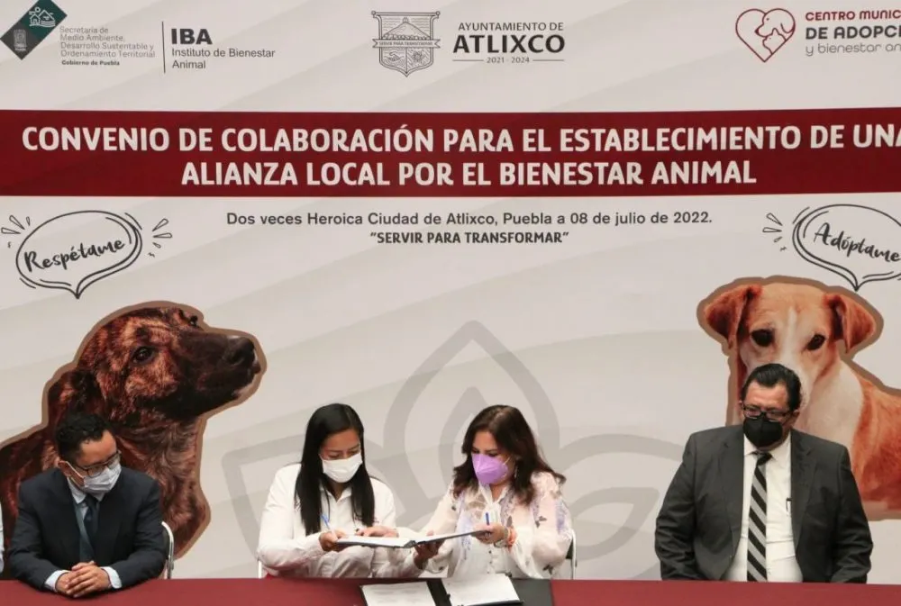 Ariadna Ayala suma esfuerzos con el Gobierno del Estado a favor del Bienestar Animal.