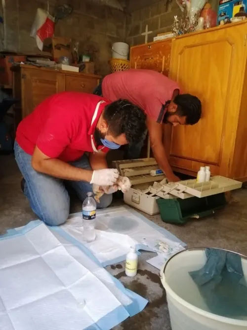Bienestar animal rescata cachorrita atrapada en junta auxiliar de Texmelucan