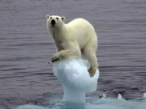 Cambio climático empeora y las soluciones son bajas: ONU