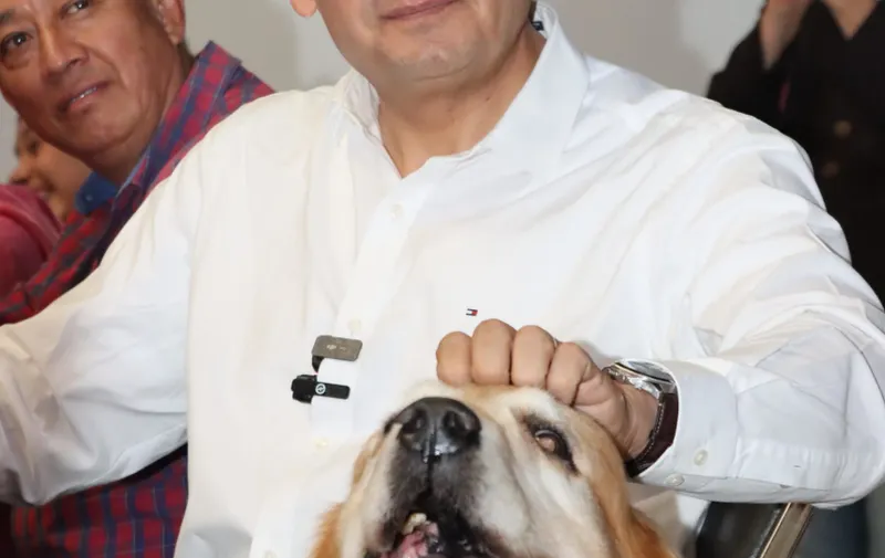 Imagen del artículo