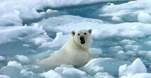 Aumenta temperatura del suelo congelado a escala mundial