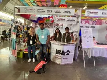 Instituto de Bienestar Animal promueve cultura de cuidado en la Feria de Puebla 2025