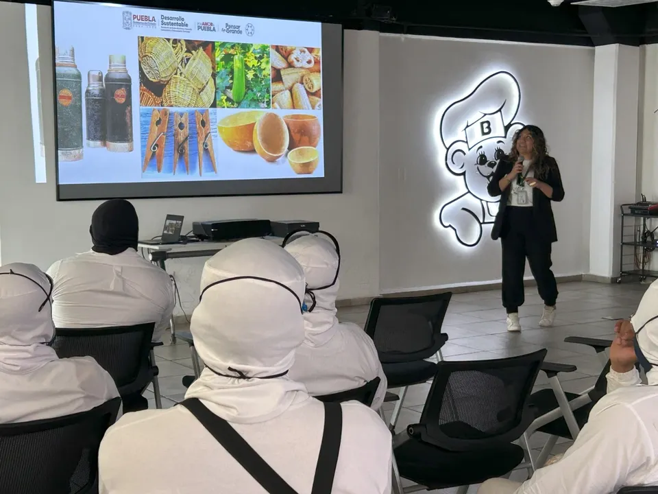 Cursos de capacitación