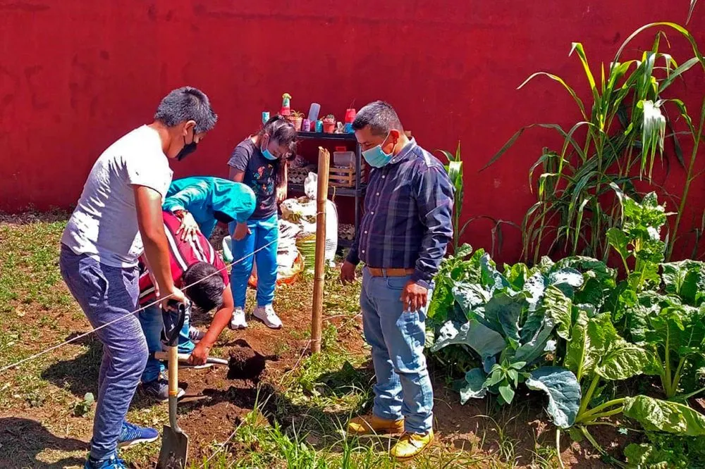 Buap Huertos Escolares