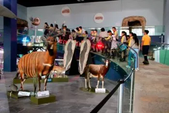La Noche de Museos 2023 en Puebla reunió a más de 5 mil visitantes