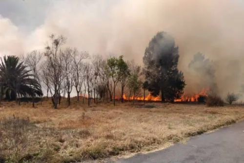 Incendio en Parque Ecológico de Xochimilco afectó 40 hectáreas