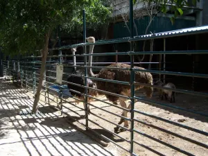 Arranca operativo para decomisar animales en zoológico de Sergio Gómez