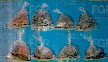 Foto: Especial