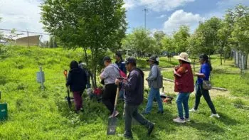 Ayuntamiento de Puebla refuerza acciones ambientales: más de 500 árboles intervenidos y 30 mil nuevos ejemplares plantados